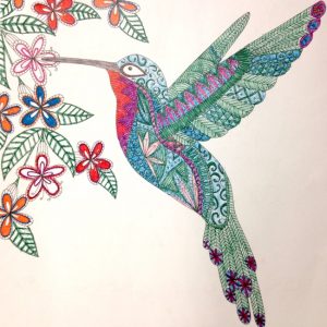 A beautifully colored hummingbird by Katherine in Nashville, TN.